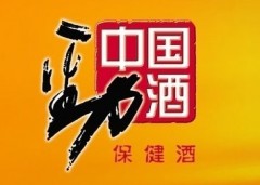 武汉2013年第一届"劲酒杯"羽毛球挑战赛