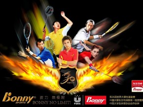 2013全国羽毛球业余俱乐部赛（武汉站）